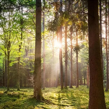 Charming On Park With Swimming Pool Restaurant And Bowling - Nationaal Park De Hoge Veluwe - Cozy Getaway