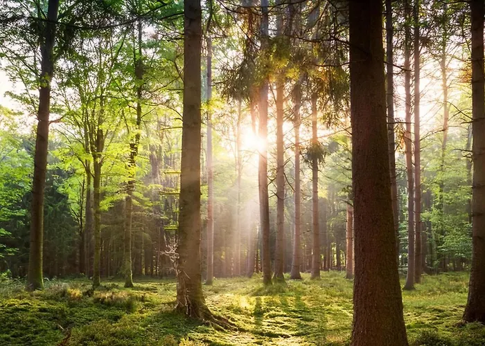 Charming On Park With Swimming Pool Restaurant And Bowling - Nationaal Park De Hoge Veluwe - Cozy Getaway