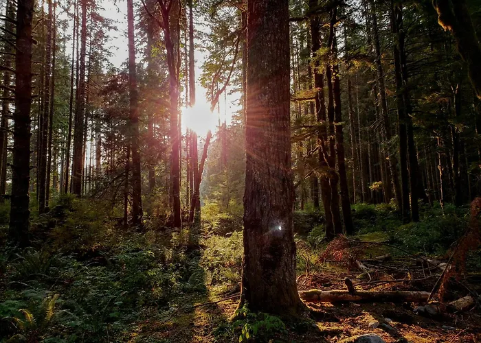 Charming On Park With Swimming Pool Restaurant And Bowling - Nationaal Park De Hoge Veluwe - Cozy Getaway Hoenderloo