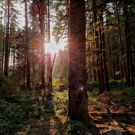 Charming On Park With Swimming Pool Restaurant And Bowling - Nationaal Park De Hoge Veluwe - Cozy Getaway ホンデルロー